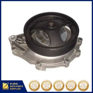 Water Pump for Scania Truck / Bus Spare Parts OEM 2224112 / 10570194 / 1789555 / 1778920 Tapffer Brand